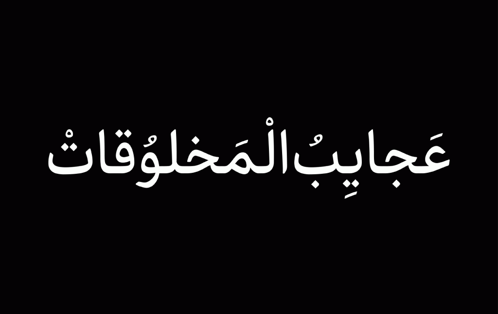 11rndS55 فونت دیباج