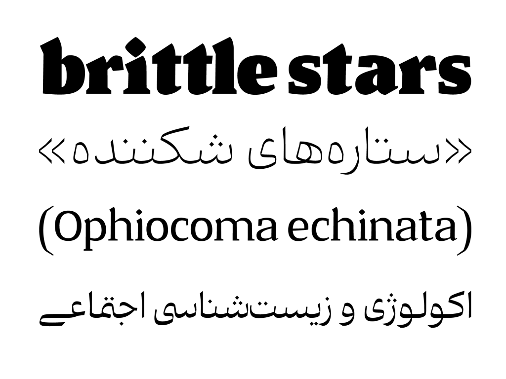 18-minqyxQBS فونت ونوو